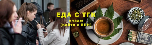 индика Богородицк