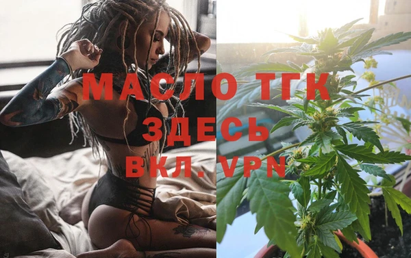 индика Богородицк