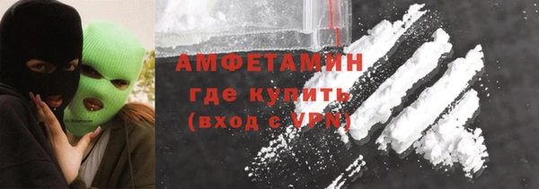 индика Богородицк