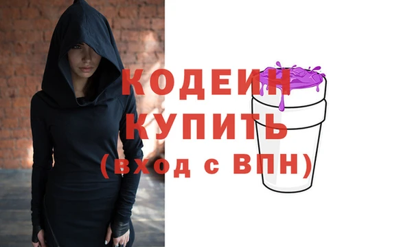 индика Богородицк