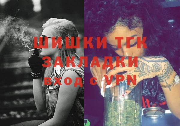 индика Богородицк
