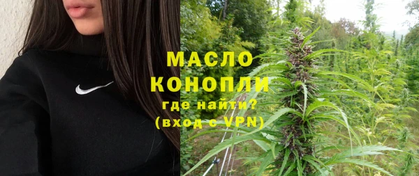 индика Богородицк