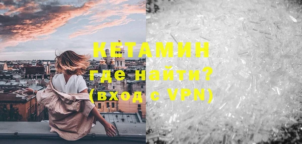 индика Богородицк