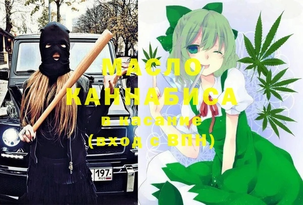 индика Богородицк
