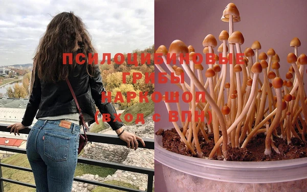 a pvp Богородск