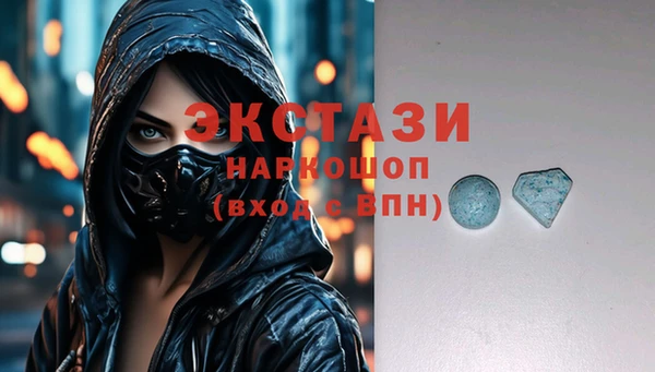 индика Богородицк