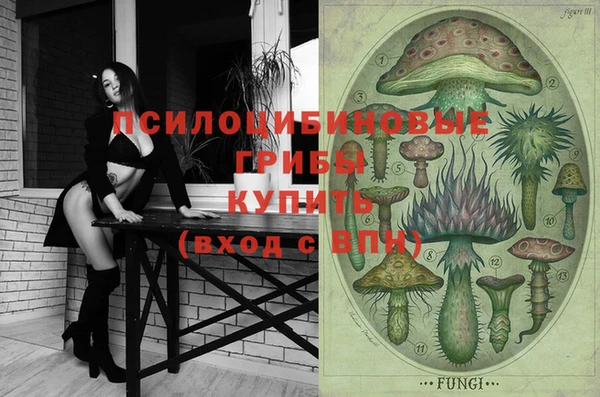 a pvp Бугульма