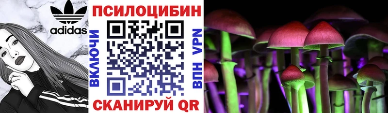 Купить где  Вихоревка  Галлюциногенные грибы Psilocybine cubensis 