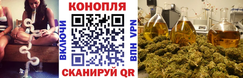 Купить  Вихоревка  Каннабис THC 21% 